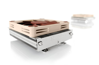 Noctua 4