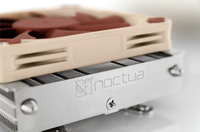 Noctua 5