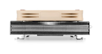 Noctua 1
