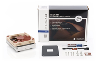 Noctua 3