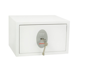Phoenix Safe 1