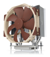 Noctua 1