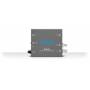 Aja - ROI-DP - Aktiver Videokonverter - Grau - 1920 x 1080 - - - 525i,625i,720p,1080i,1080p - 100 - 240 V - 50/60 Hz (ROI DP)