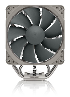 Noctua 1