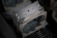 Noctua 5
