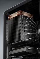 Noctua 5