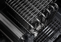 Noctua 7