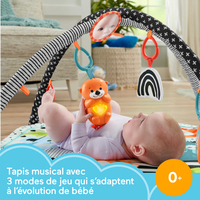 Fisher-price 12