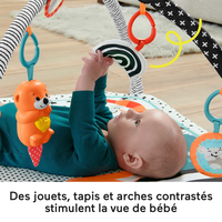 Fisher-price 14