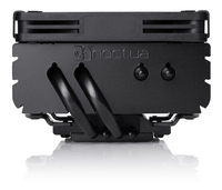 Noctua 1