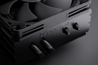 Noctua 5