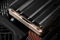 Noctua 4