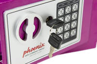 Phoenix Safe 3