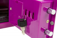 Phoenix Safe 4