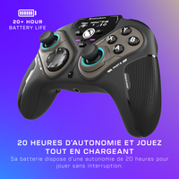Turtle Beach 2