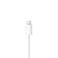 Apple 7