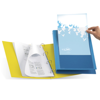 Rinforzi Autoadesivi 1