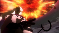 Picchiaduro 3