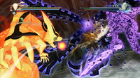 Picchiaduro 8