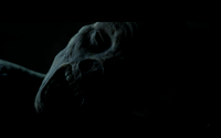 Horror 30