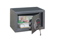 Phoenix Safe 2