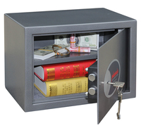 Phoenix Safe 1