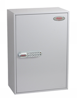 Phoenix Safe 1