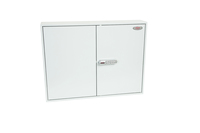 Phoenix Safe 4