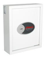 Phoenix Safe 1