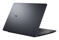Asus 11