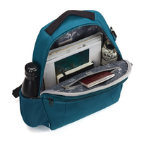 Pacsafe 19