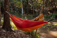 Amazonas 7