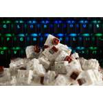 GLORIOUS - PC Gaming Race KAI-BROWN Eingabegertzubehr Tastatur-Schalter (KAI-BROWN) [DE-Version, German Keyboard]