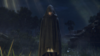 Bandai Namco 15