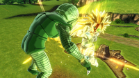 Picchiaduro 10