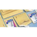 Buste Colorate - Cf10 Sacco Imbot/avan Int17x27cm C