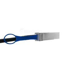 Bluelan 6