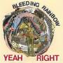 Bleeding Rainbow - Yeah Right