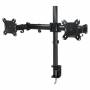 Arctic - ARCTIC Z2 basic - Tischhalterung fr 2 Monitore (einstellbarer Arm) - Schwarz - Bildschirmgre: 33-68.6 cm (13