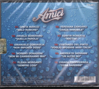 Amici 2013 1