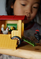Schleich Gmbh 7