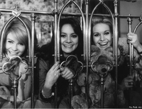 Pleasure Girls 3