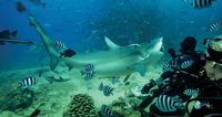 Gopro 6