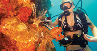 Gopro 7
