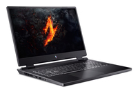 Acer 1