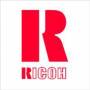 Ricoh - Type 145 - Tonersammler - fr Aficio CL4000DN, SP C400DN, SP C410DN, SP C410DN-KP, SP C411DN, SP C420DN (DTDB14500) [EURO-Version]