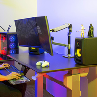 Ergotron 5
