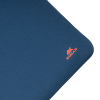 Riva Case 2
