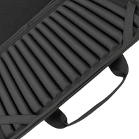Riva Case 31
