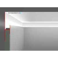 Synergy 21 Led 1